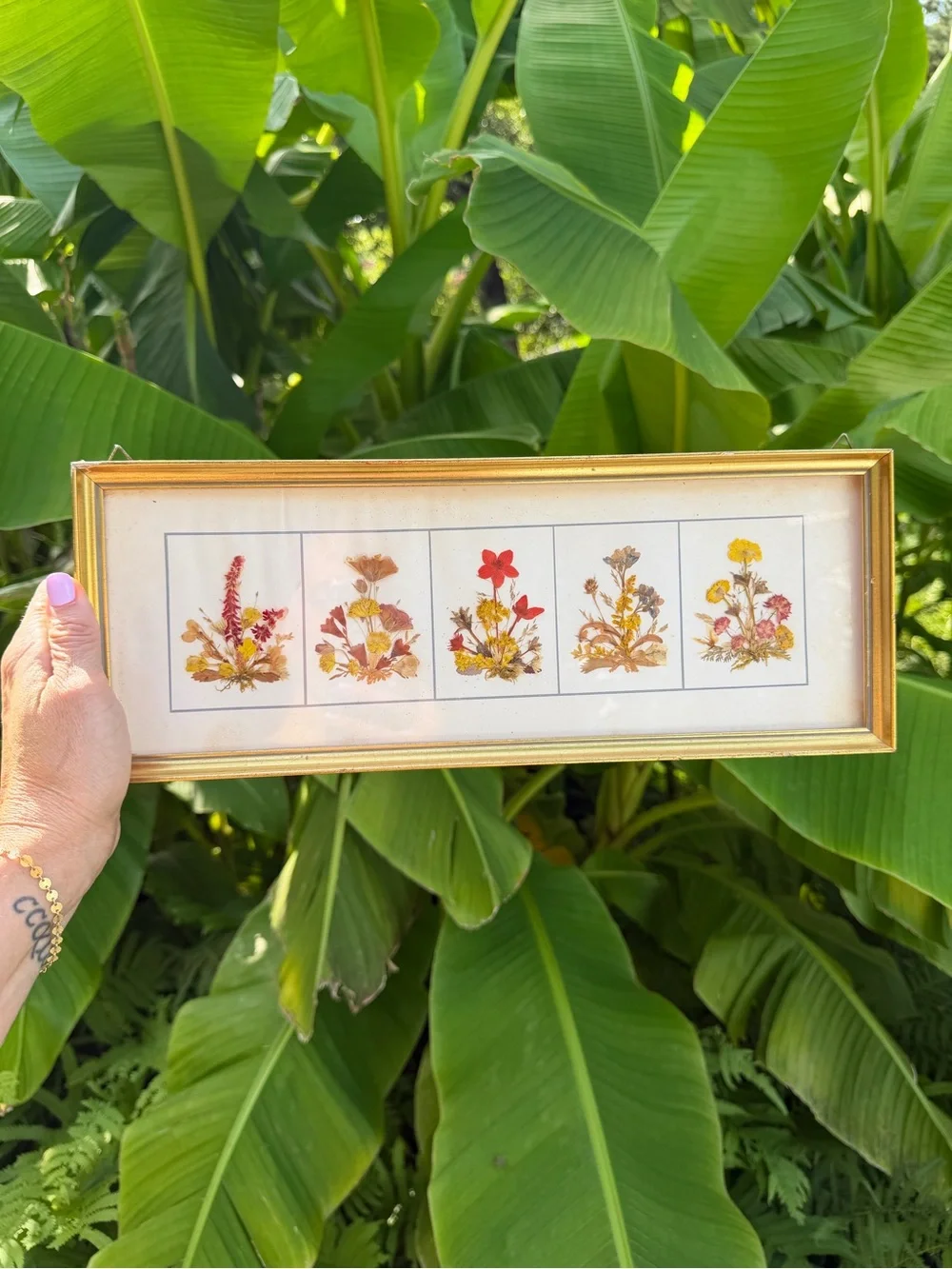 Vintage Pressed Reichlin Switzerland Flower Botanical Framed Wall Art - 15” x 6”